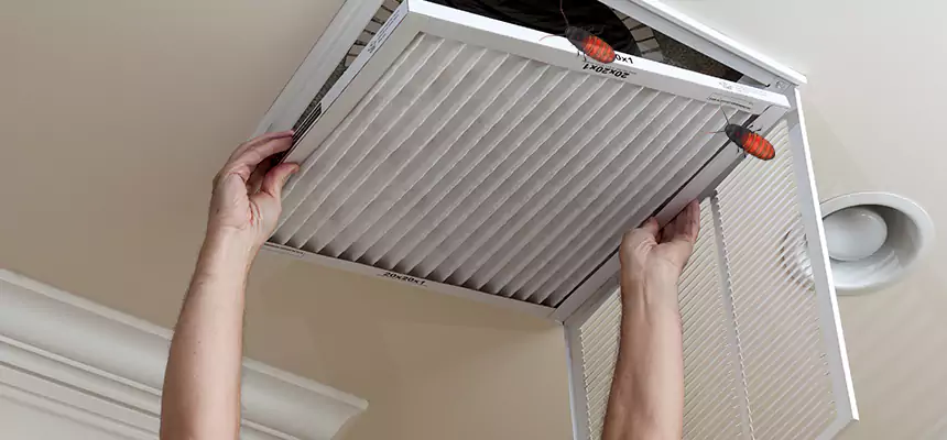 Preventive Cockroach-Proofing for Ducts in New Milford