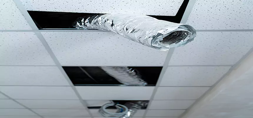 Affordable HVAC Sanitizing After Pest Removal in New Milford