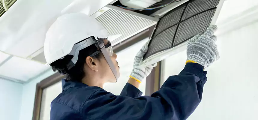 Our Mold & Mildew Removal from Air Ducts Services in New Milford, NJ