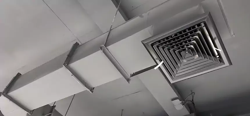 Our Pest Removal From Ducts Services in New Milford, NJ