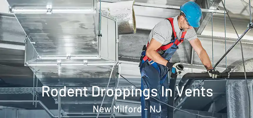  Rodent Droppings In Vents New Milford - NJ