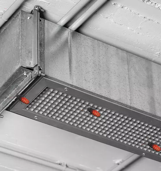 About Air Duct Cockroach Removal in New Milford, NJ